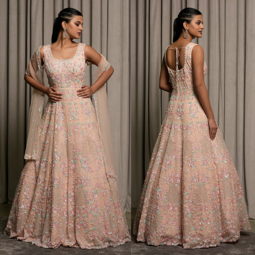 Light Peach Sequins Embroidered Net Reception Gown